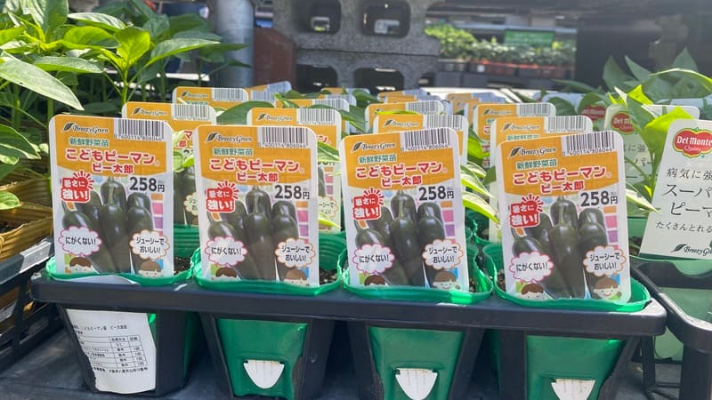 ピーマン（こどもピーマン）