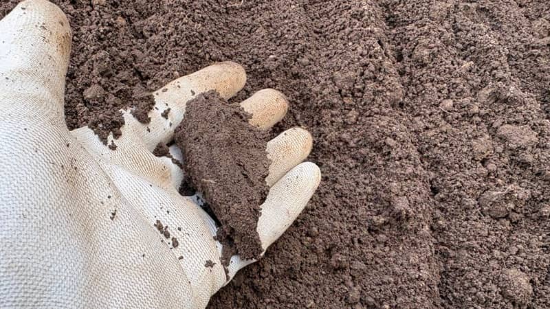 団粒構造の土の写真①