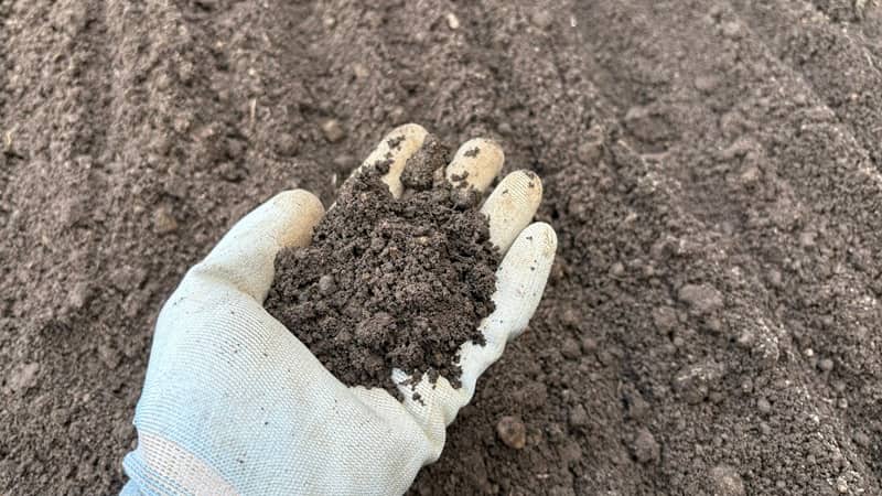 団粒構造の土の写真②