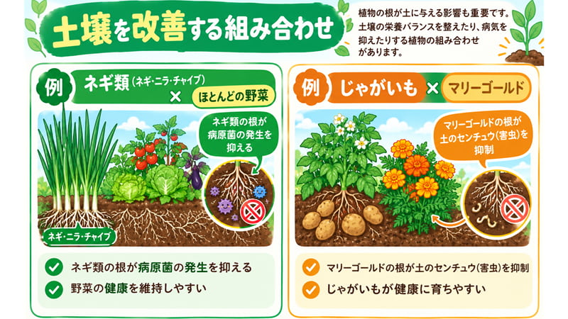 土壌を改善する組み合わせ