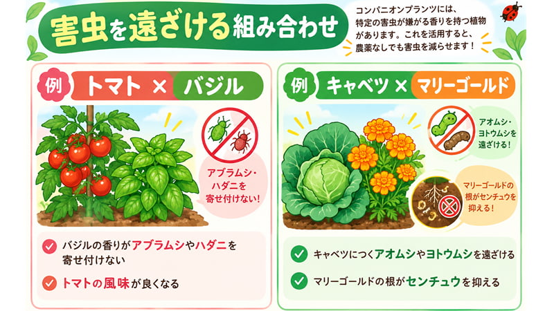 害虫を遠ざける組み合わせ