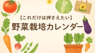【これだけは押さえたい】野菜栽培カレンダー
