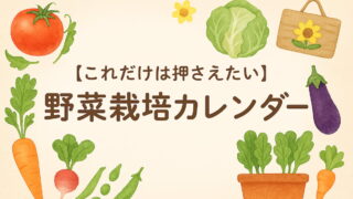 【これだけは押さえたい】野菜栽培カレンダー