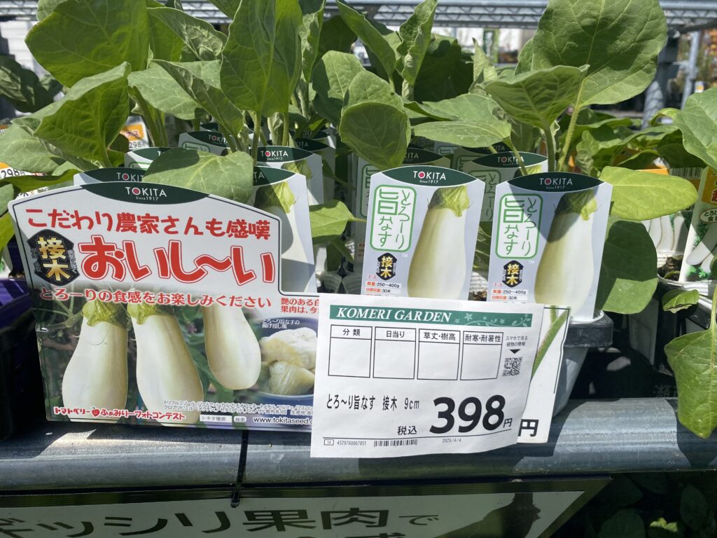 ナスの接ぎ木苗