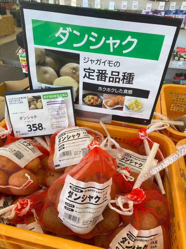 ダンシャクのタネイモ