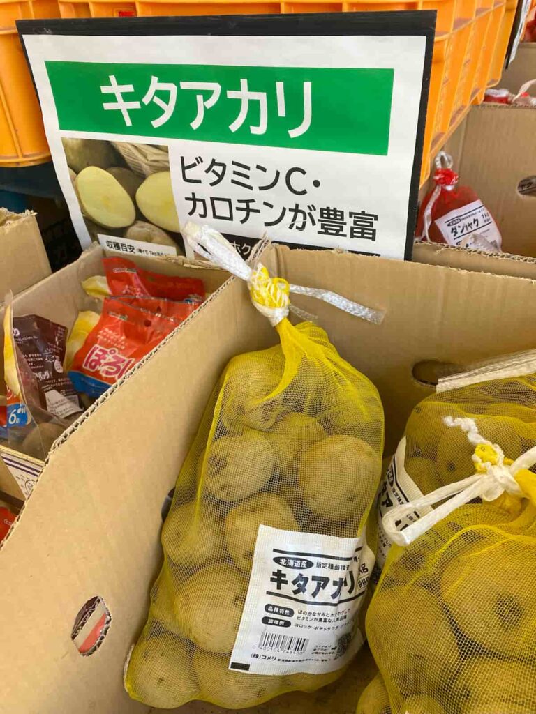 きたあかりのタネイモ