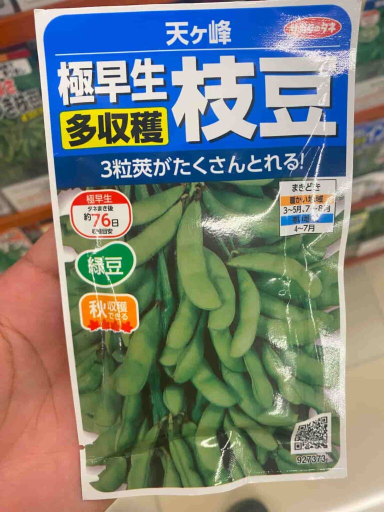 エダマメのタネ【天ヶ峰】国産