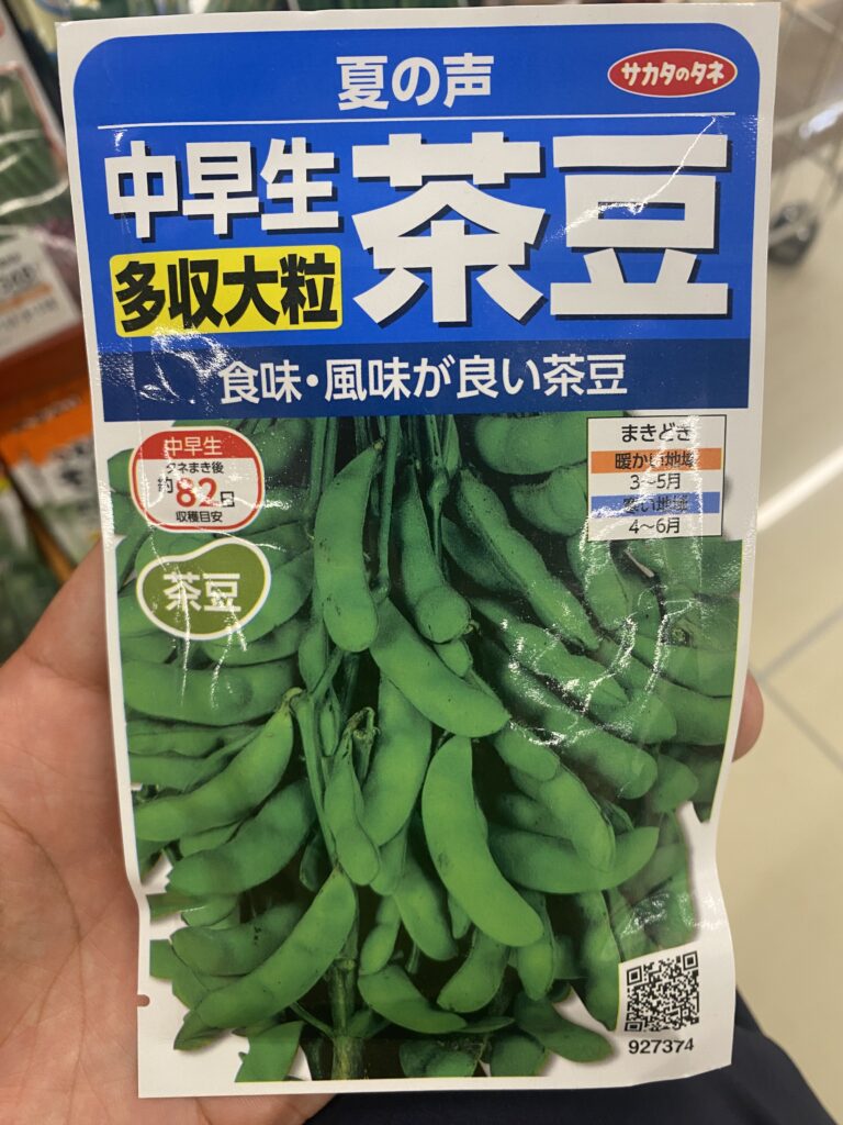 夏の声