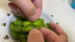 【初心者でも安心！家庭菜園で楽しむ】エダマメ栽培ガイド