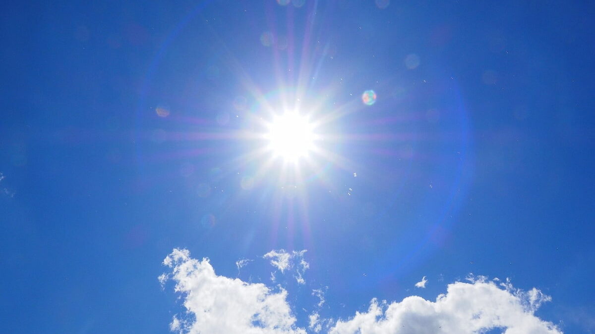 家庭菜園の土壌を殺菌するための太陽光熱消毒に適した明るく輝く太陽の様子