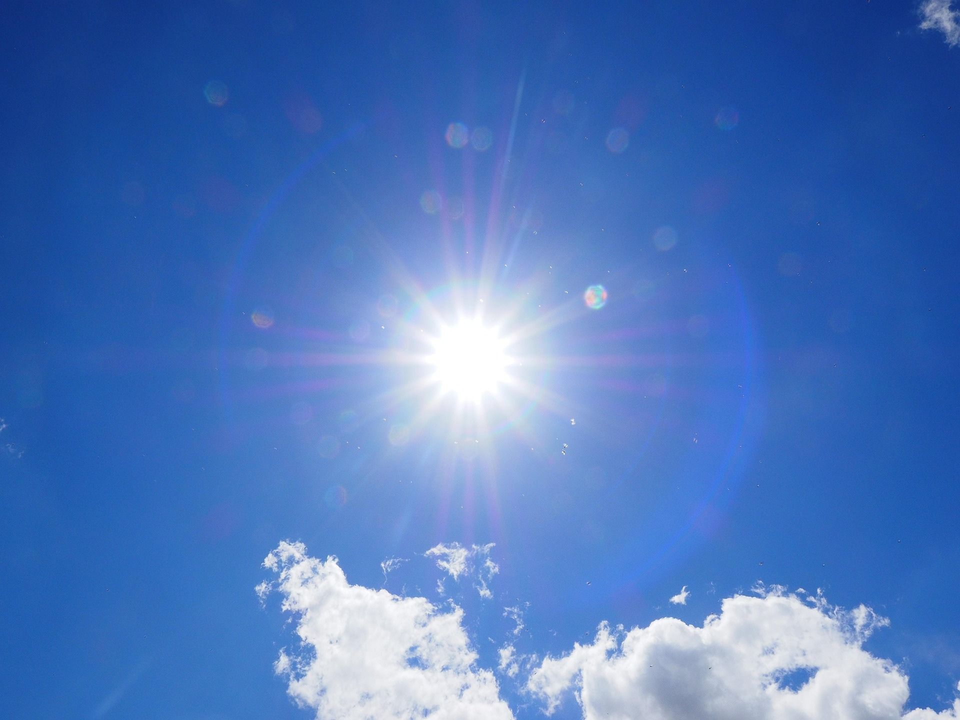 家庭菜園の土壌を殺菌するための太陽光熱消毒に適した明るく輝く太陽の様子