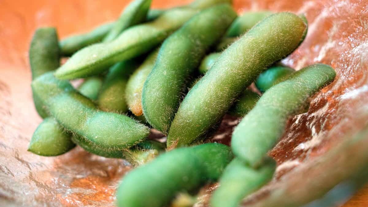 ゆで上がった緑鮮やかなエダマメが皿に盛られている様子