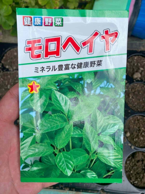 モロヘイヤのタネのパッケージ