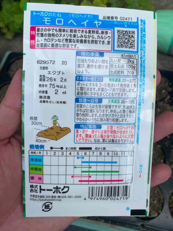 モロヘイヤのタネのパッケージ裏