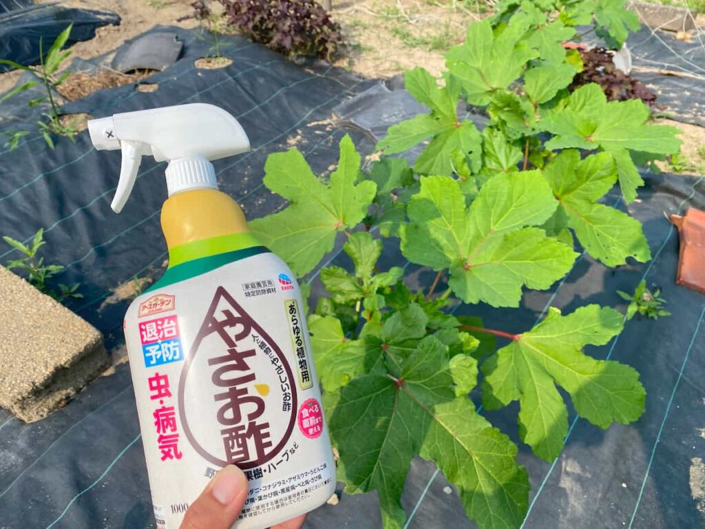 やさお酢の写真