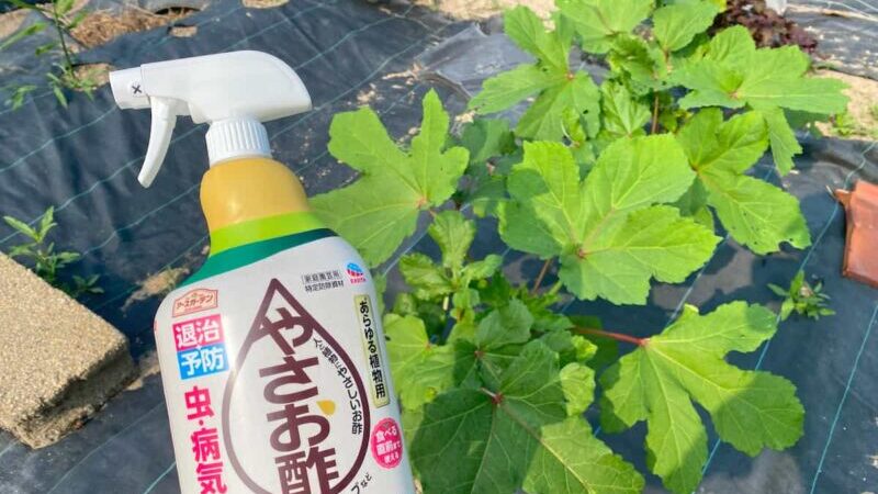 やさお酢の写真
