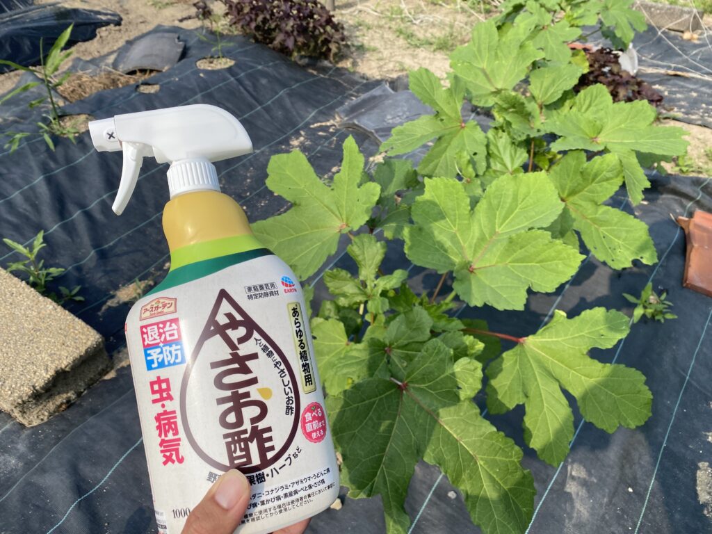 やさお酢の写真