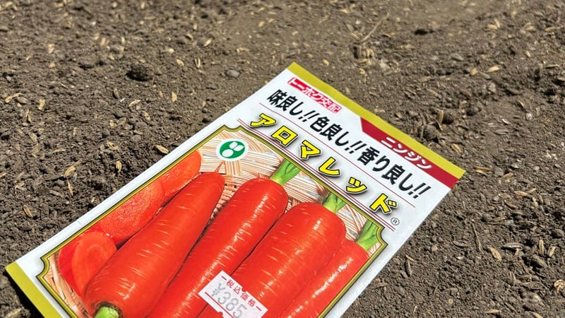 タネ播き前の土の仕上げ