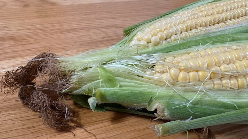絹糸が茶色になったトウモロコシ