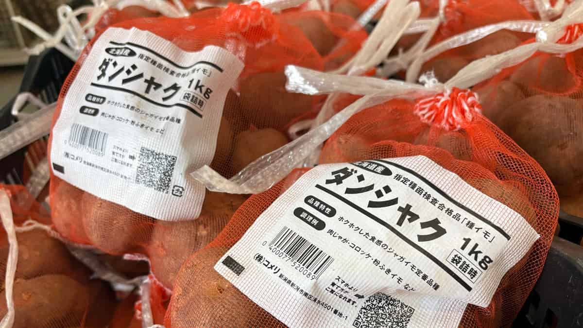 去年は男爵で失敗…それでも春ジャガ栽培はやめられない！