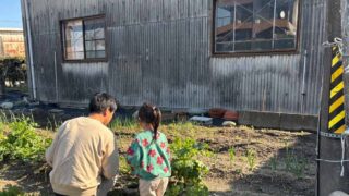 【3月の家庭菜園】今月はなにするの？