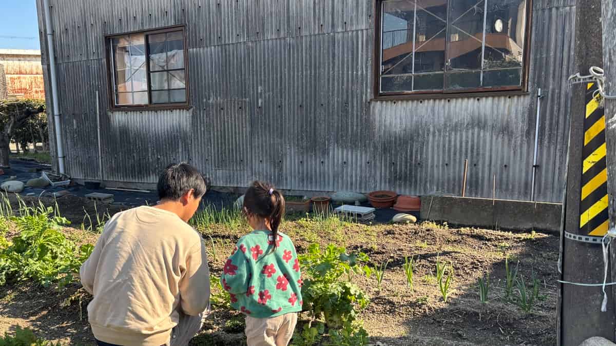 【3月の家庭菜園】今月はなにするの？