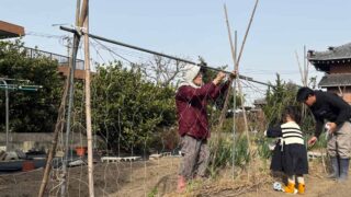 【4月の家庭菜園】今月はなにするの？