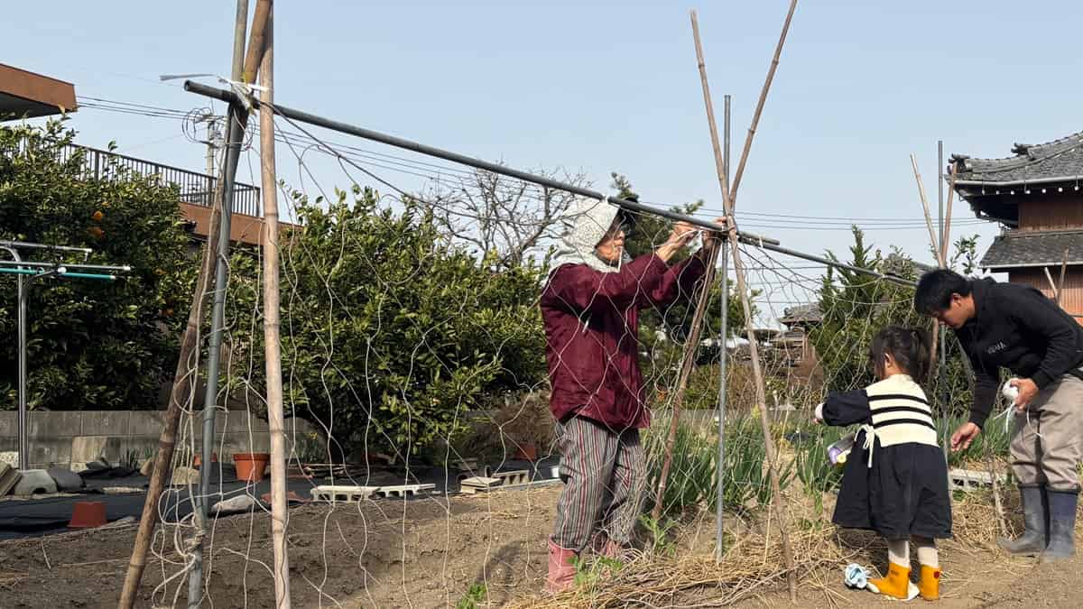 【4月の家庭菜園】今月はなにするの？