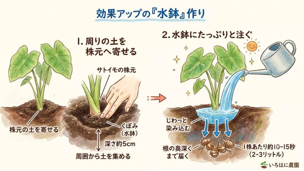 水鉢のつくり方
