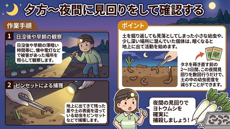 夜のパターン