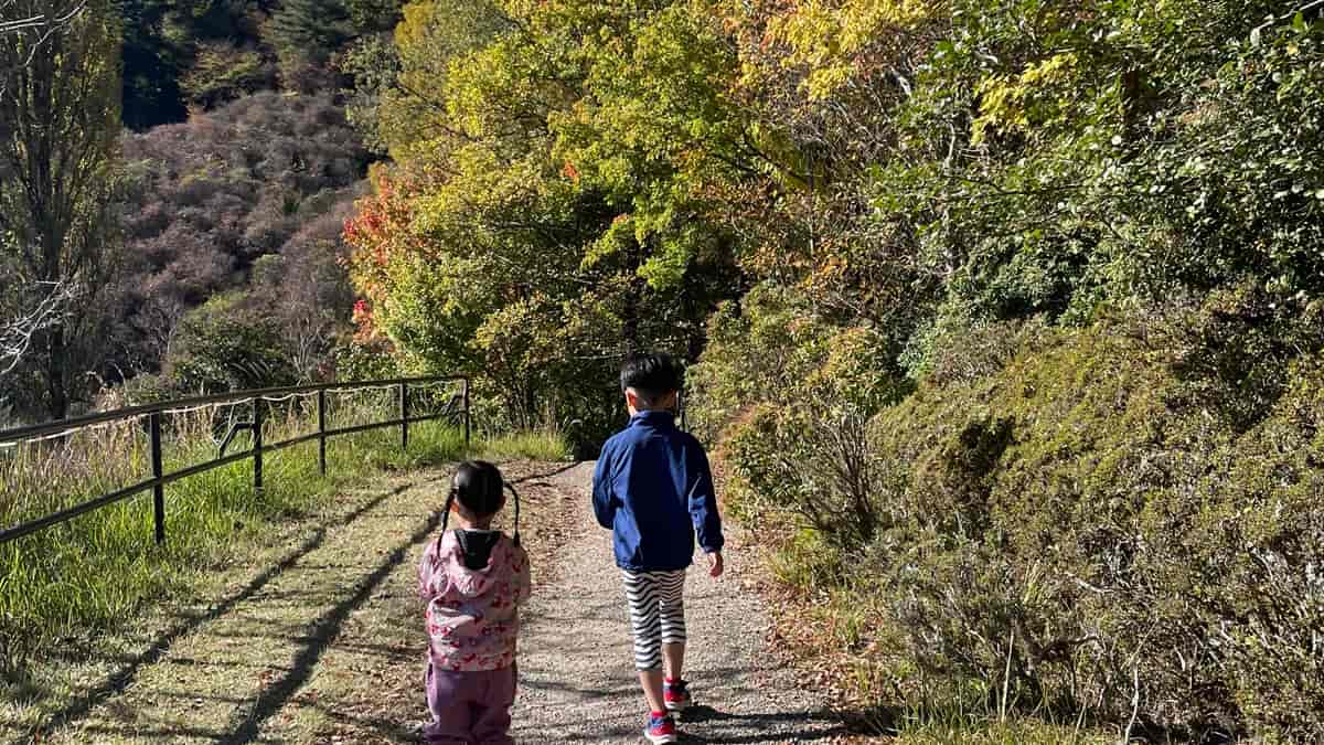 【11月の家庭菜園】今月はなにするの？寒さ対策と冬越し準備が成功のカギ！