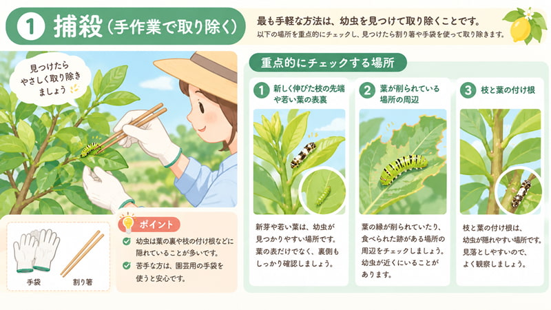 幼虫をやさしく取り除く方法